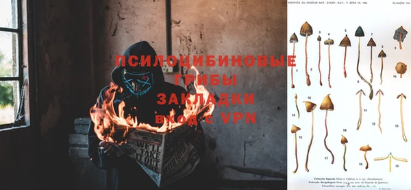 дурь Вязьма