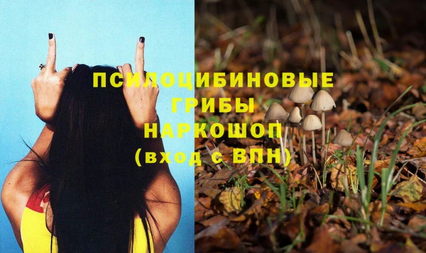 хмурый Вязники