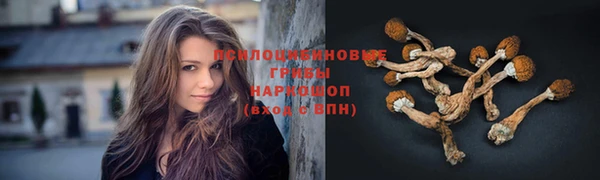 прущий лед Волоколамск